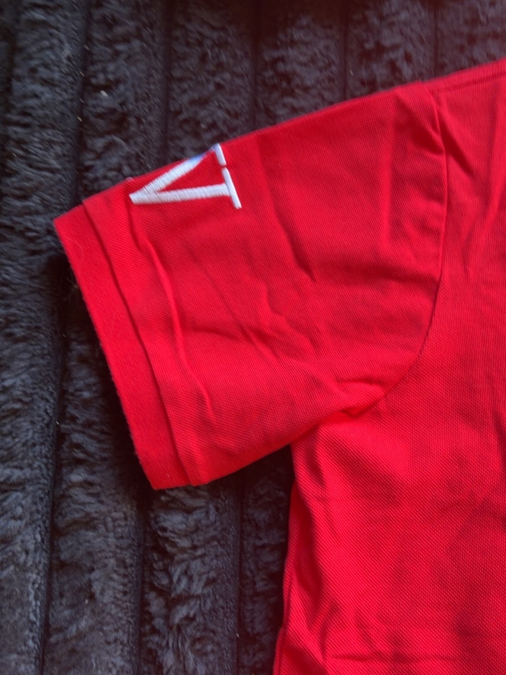 Ralph Lauren Red Polo Shirt with Crest Embroidery - Picture 2 of 3